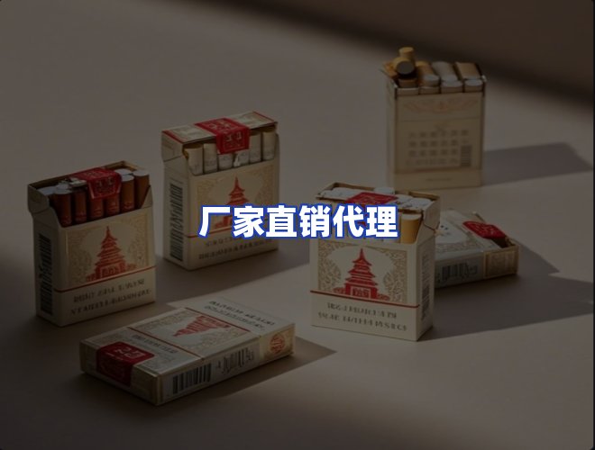 专业团队